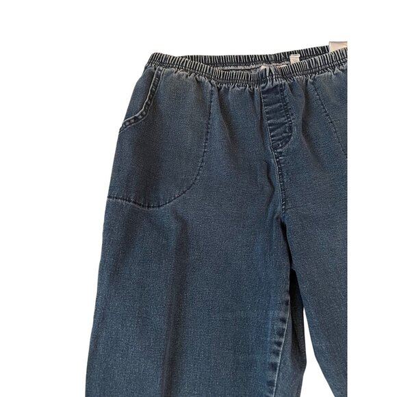 D & Co. Blue Jean Denim Elastic Waist Stretch Jeans Women's Size 1XP - Picture 3 of 7